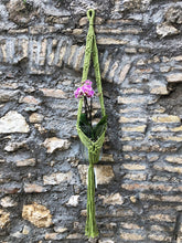 Load image into Gallery viewer, Eco-friendly handmade Macramé plant hanger Orchids