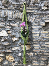 Cargar imagen en el visor de la galería, Porta macetas de macramé hecho a mano ecológico Orquídea
